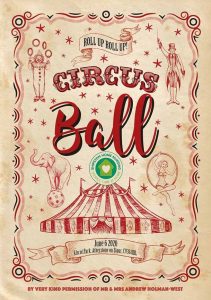 Circus ball
